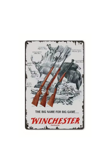 Placa Winchester