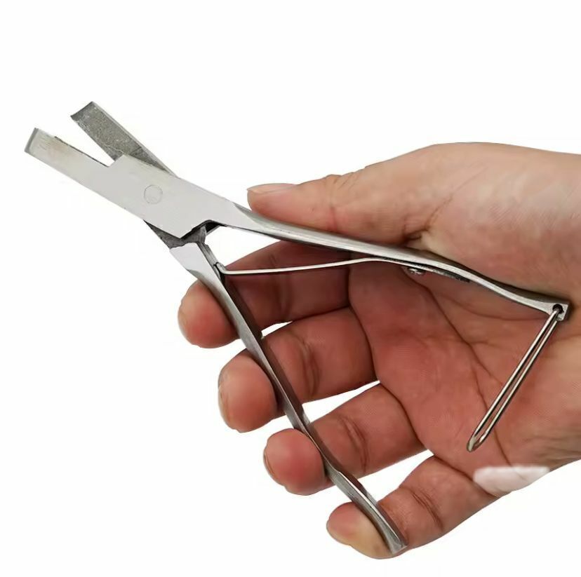 Marcador de Orelha - JHR COMPANY LTDA